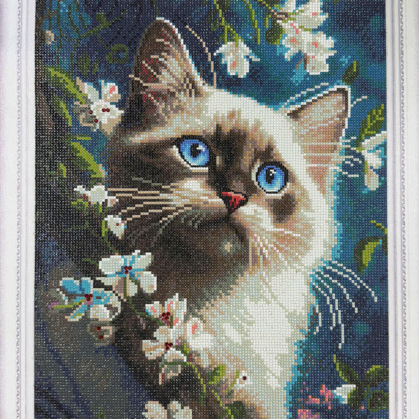 Paw Portraits