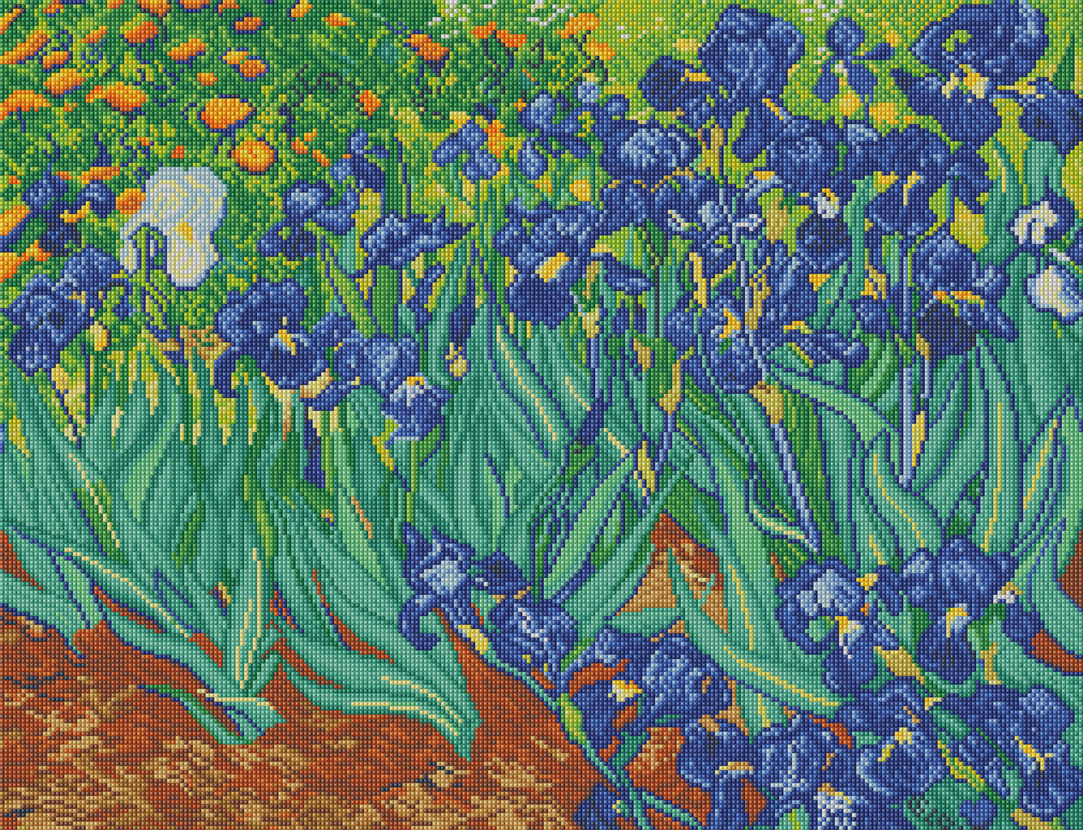 Irises
