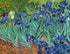 Les Irises Van Gogh diamond painting kit – DIY art by DYC