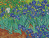 Original reference photo for Les Irises Van Gogh custom diamond painting