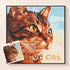 Loving cat diamond painting kit – Tabby portrait art by DYC