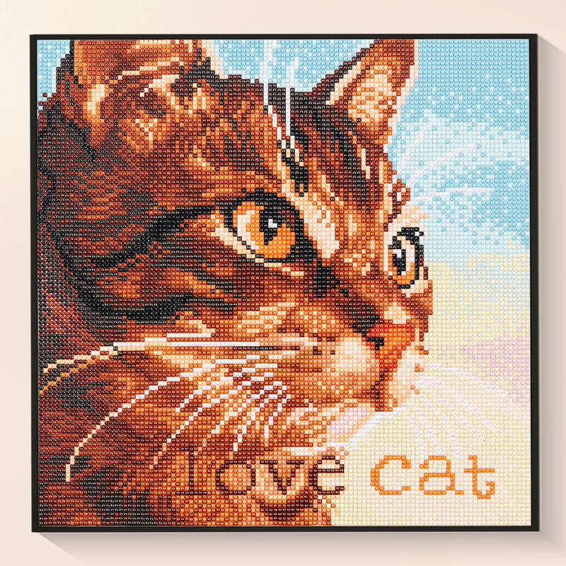 Finished Loving cat diamond painting kit result – DYC
