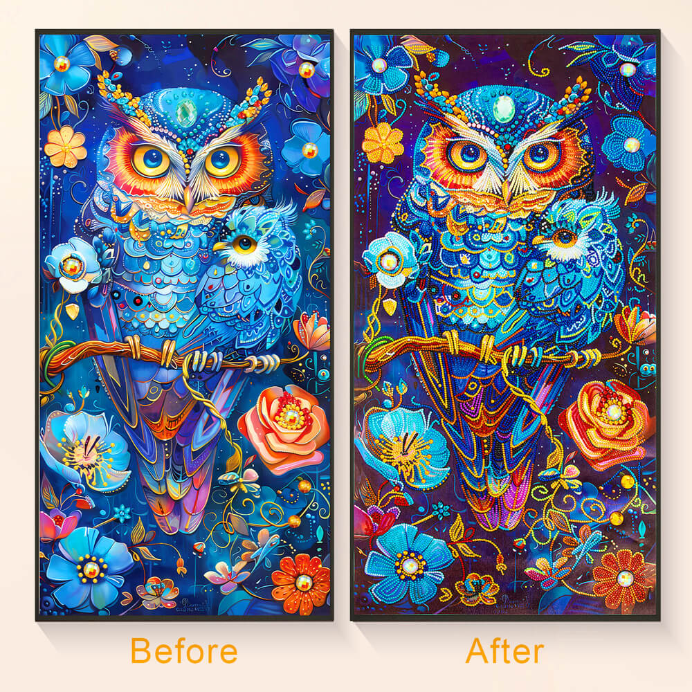 Before and after comparison of owl fantasy diamond art painting