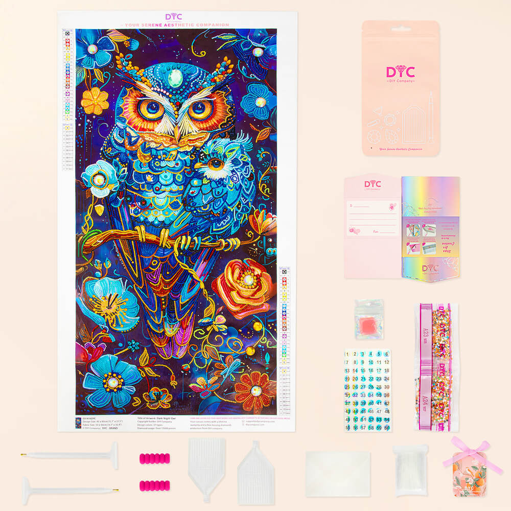 Complete owl diamond painting kit with colorful drills and tools