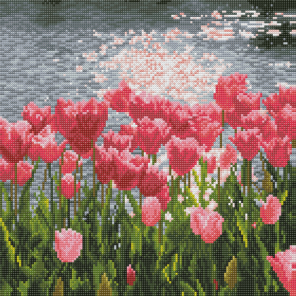Sea of Tulips
