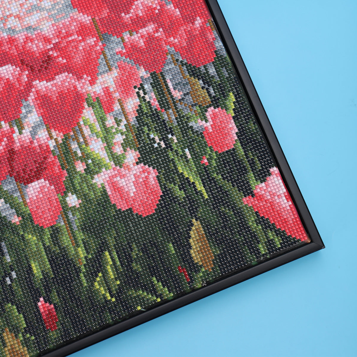 Sea of Tulips