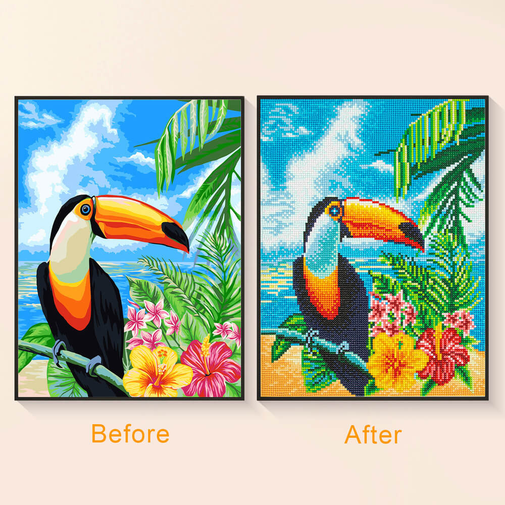 Before and after comparison of toucan tropical bird diamond art