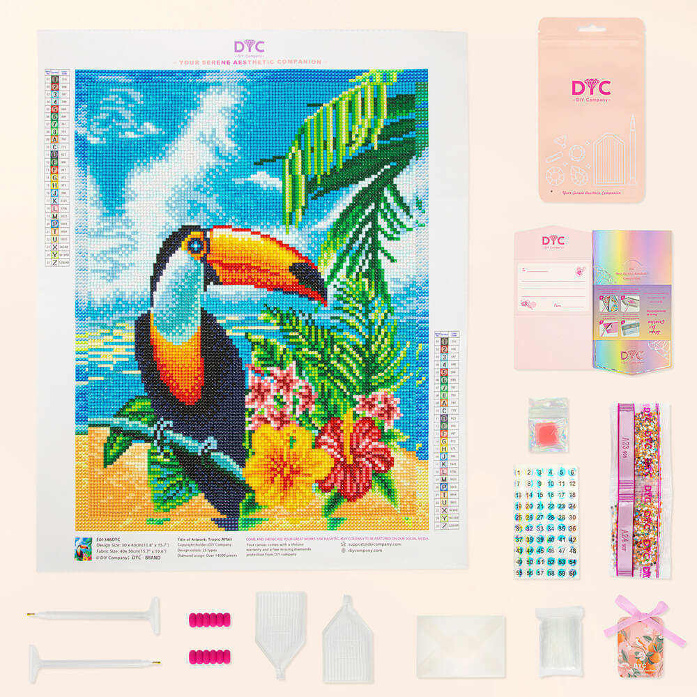 Complete toucan diamond painting kit with colorful drills and tools